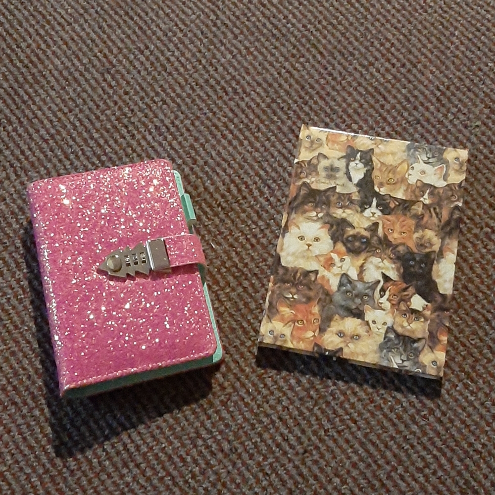 3x blank journals